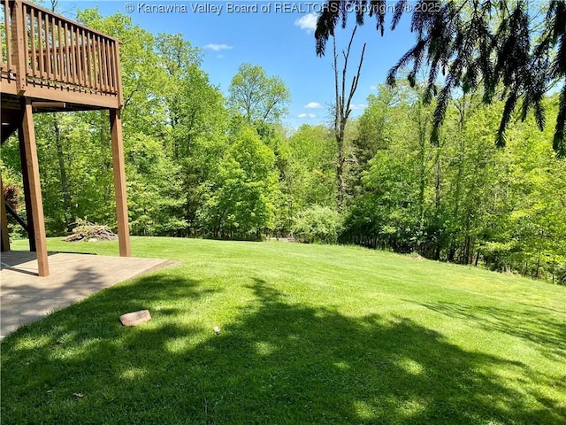486 Woodland Acres Dr, Ripley, WV 25271 - view of green lawn featuring a wooden deck and a patio area