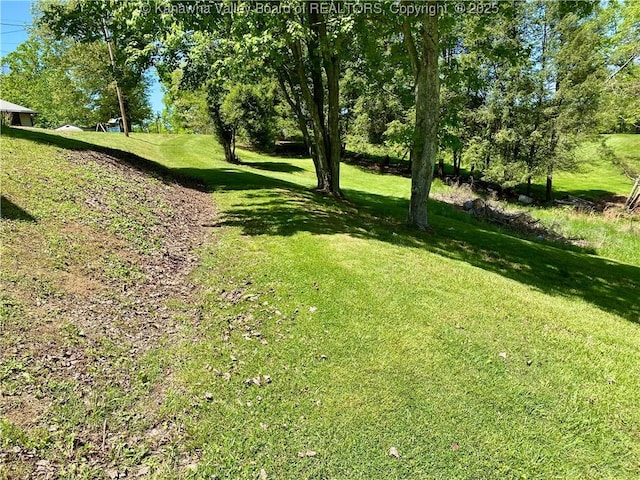 486 Woodland Acres Dr, Ripley, WV 25271 - view of green lawn