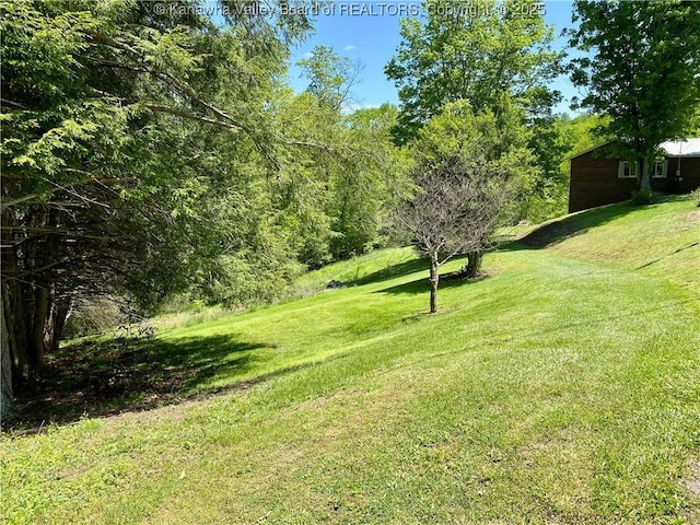 486 Woodland Acres Dr, Ripley, WV 25271 - view of green lawn