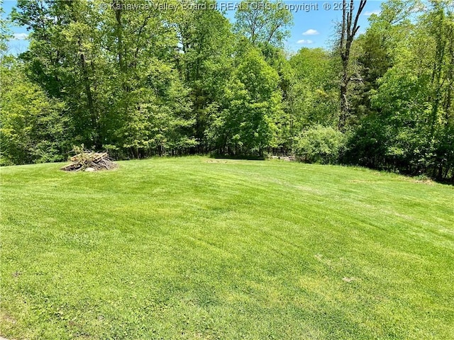 486 Woodland Acres Dr, Ripley, WV 25271 - view of grassy yard