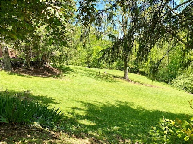 486 Woodland Acres Dr, Ripley, WV 25271 - view of grassy yard