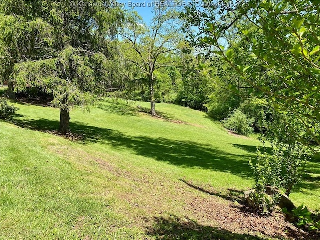 486 Woodland Acres Dr, Ripley, WV 25271 - view of grassy yard