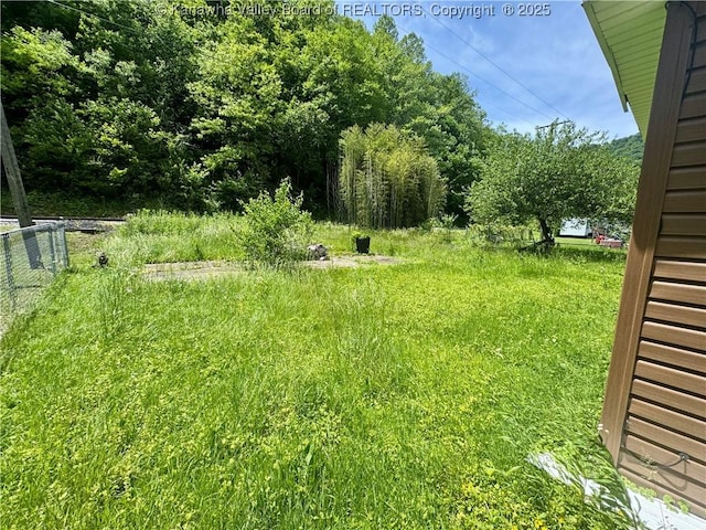 391 Mckinley St, Wharton, WV 25208 - view of yard