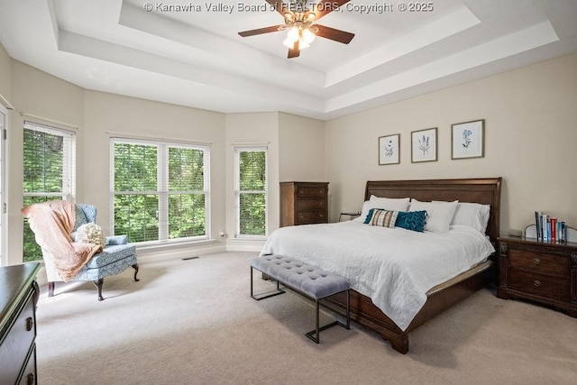 16 Pinnacle Dr, Charleston, WV 25311 - carpeted bedroom featuring a raised ceiling and ceiling fan