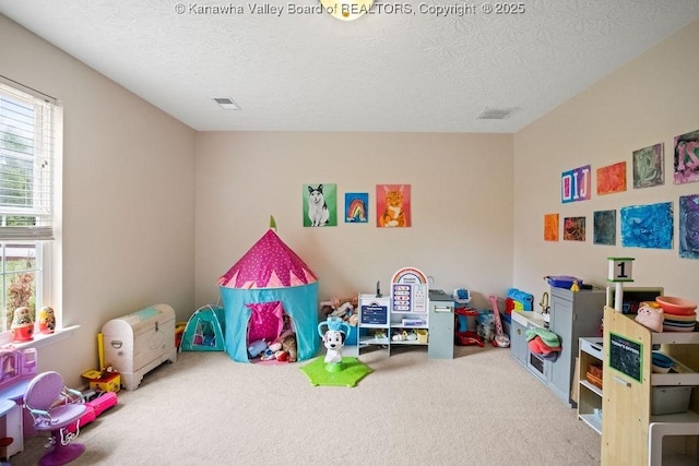 16 Pinnacle Dr, Charleston, WV 25311 - game room with carpet floors and a textured ceiling