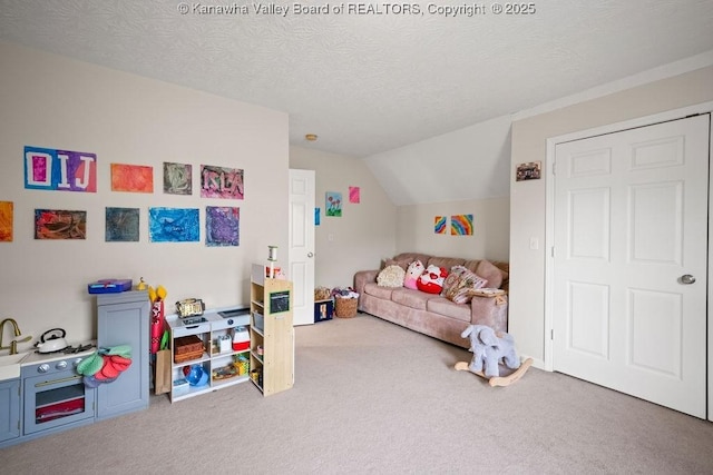 16 Pinnacle Dr, Charleston, WV 25311 - playroom with carpet, lofted ceiling, and a textured ceiling