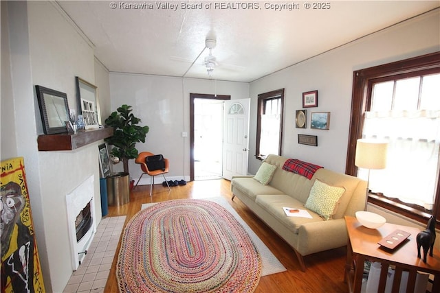 407 Carolina St, Charleston, WV 25311 - living area with a fireplace with flush hearth, plenty of natural light, heating unit, and a ceiling fan