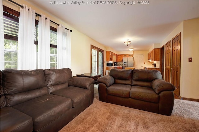 9 Shamblin Pl, Charleston, WV 25314 - living room featuring light carpet