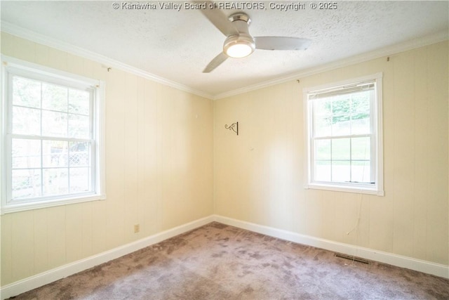 300 Forest Cir S, Charleston, WV 25303 - spare room featuring carpet, a ceiling fan, ornamental molding, and a textured ceiling