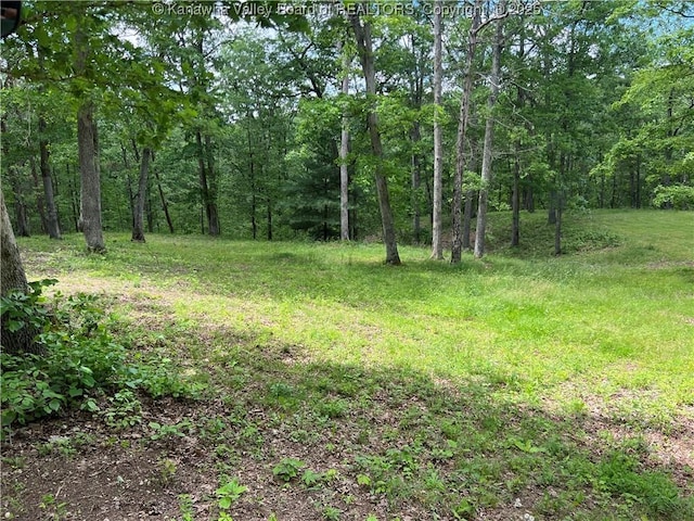 849 Random Rd, Ripley, WV 25271 - view of woods