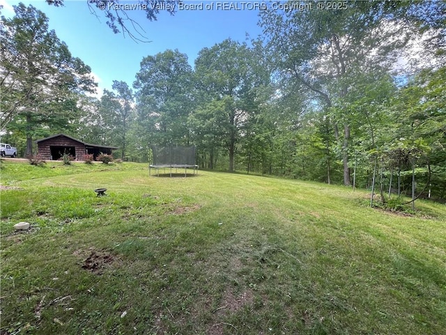 849 Random Rd, Ripley, WV 25271 - view of green lawn featuring a trampoline and an outdoor structure