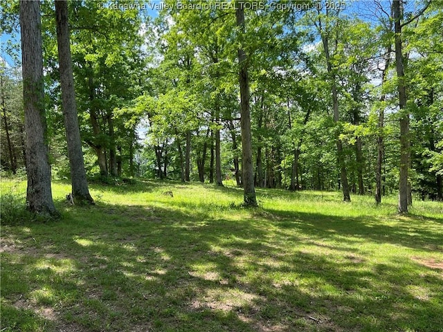 849 Random Rd, Ripley, WV 25271 - view of grassy yard