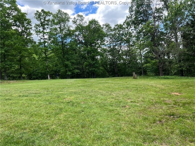 849 Random Rd, Ripley, WV 25271 - view of grassy yard featuring a forest view