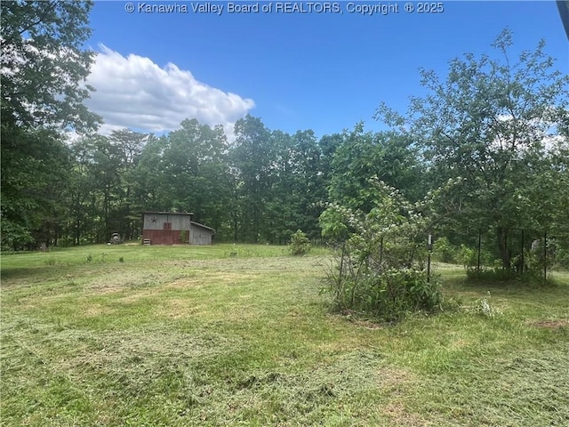 849 Random Rd, Ripley, WV 25271 - view of green lawn with an outbuilding and a view of trees