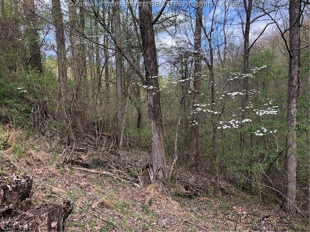 138 Woodbridge Dr, Charleston, WV 25311 - view of woods