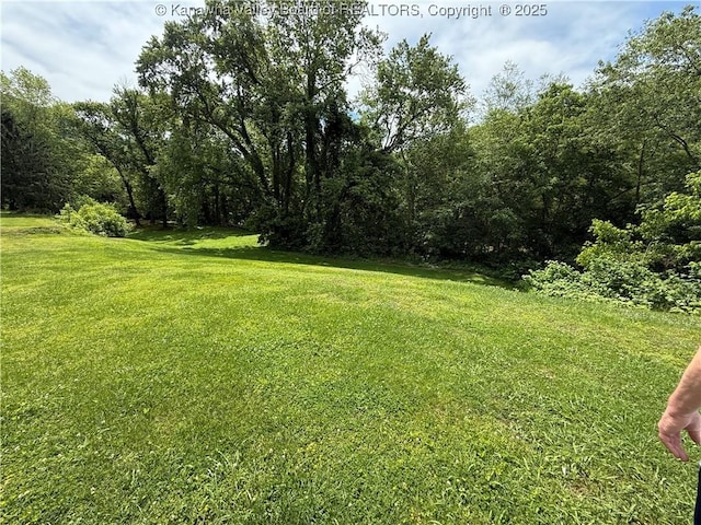 12 Brewster Dr, Chapmanville, WV 25508 - view of grassy yard