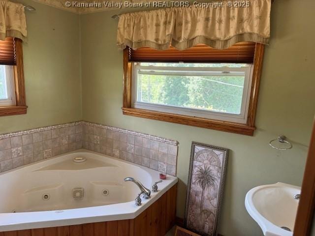 80 Flint Ln, Racine, WV 25165 - bathroom with plenty of natural light, a whirlpool tub, and a sink