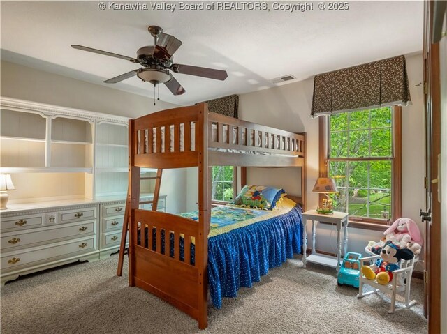 14 Woodclyffe Rd, Hurricane, WV 25526 - bedroom featuring carpet floors and multiple windows