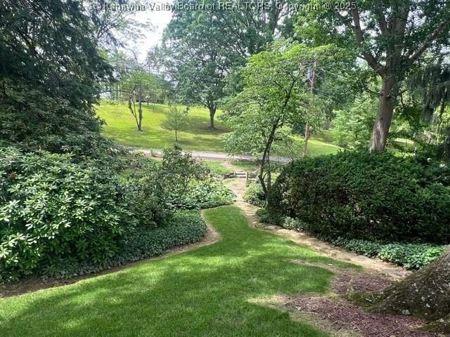 814 Skinner Dr, Saint Albans, WV 25177 - view of green lawn