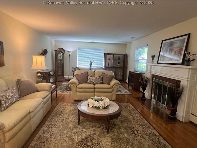 814 Skinner Dr, Saint Albans, WV 25177 - living room with wood finished floors, a fireplace with flush hearth, and a baseboard radiator