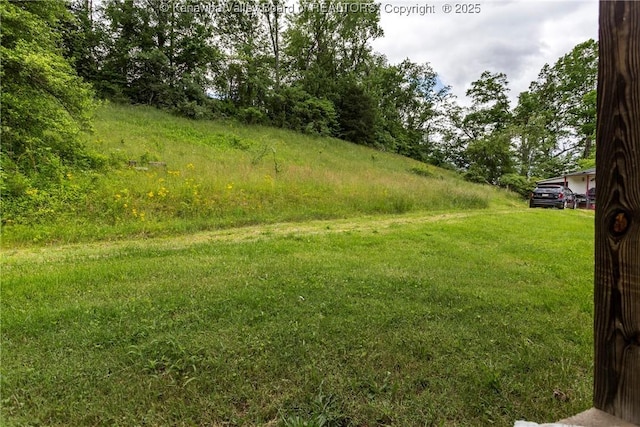 4096 Indian Creek Rd, Elkview, WV 25071 - view of yard