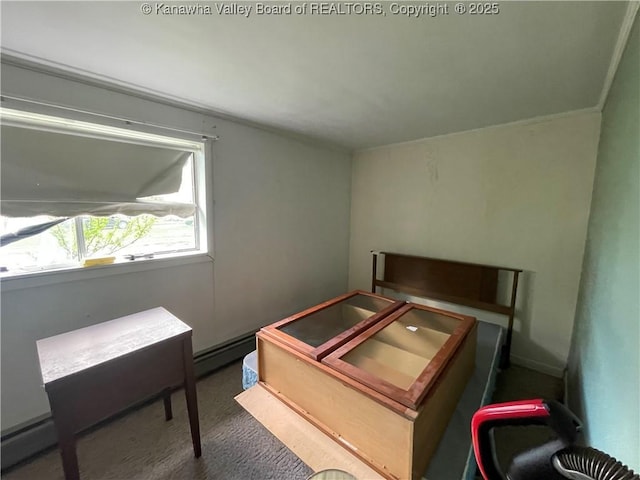 7966 Deepwater Mountain Rd, Kincaid, WV 25119 - bedroom featuring a baseboard radiator