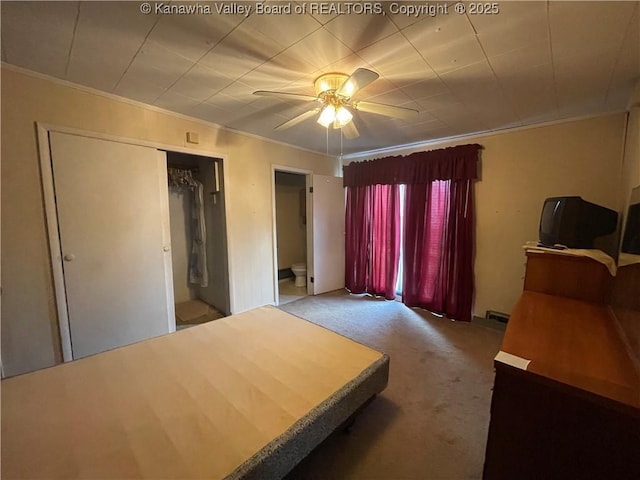 7966 Deepwater Mountain Rd, Kincaid, WV 25119 - bedroom with ornamental molding, carpet floors, a ceiling fan, and a closet