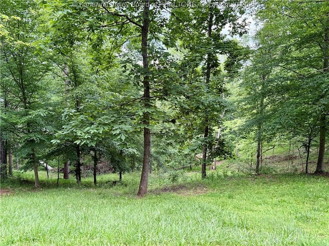 LOT12 Crooked Creek Rd, Scott Depot, WV 25560