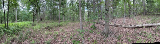 0 Evergreen Rd, Fraziers Bottom, WV 25082