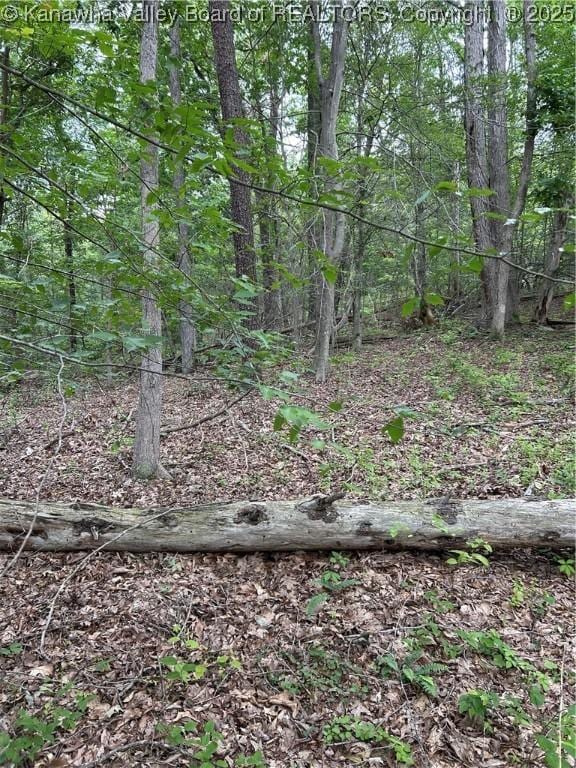 0 Evergreen Rd, Fraziers Bottom, WV 25082