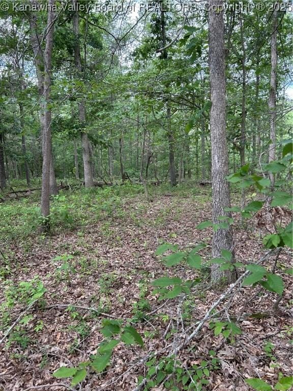 0 Evergreen Rd, Fraziers Bottom, WV 25082