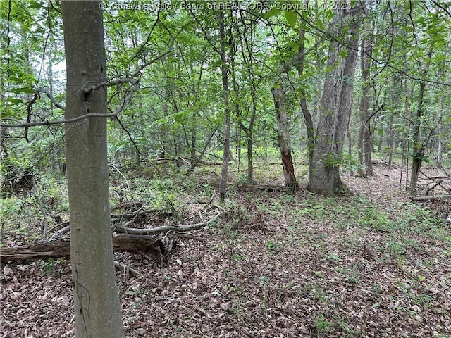 0 Evergreen Rd, Fraziers Bottom, WV 25082