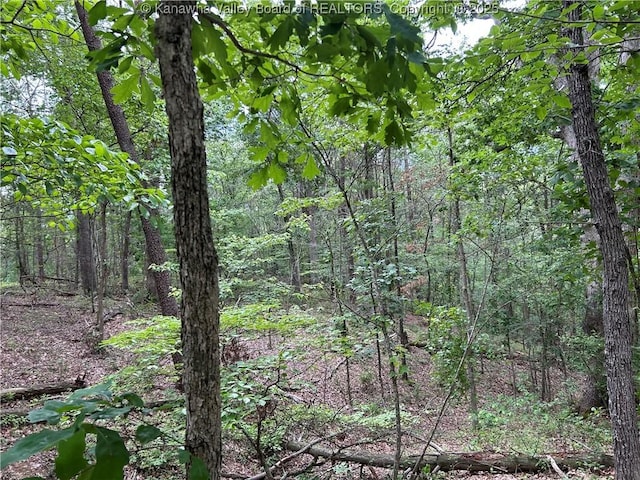 0 Evergreen Rd, Fraziers Bottom, WV 25082