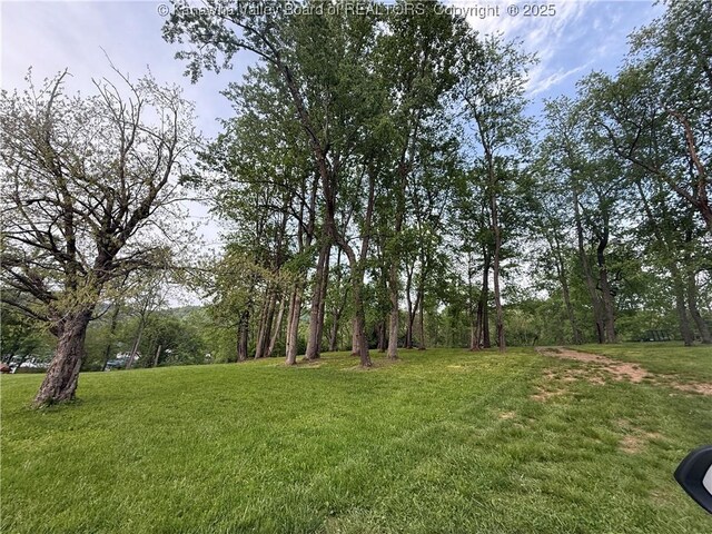 TBD Willow Dr, Madison, WV 25130 - photo 15