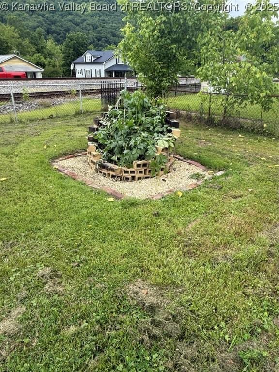 16298 Deepwater Mountain Rd, Wv, WV 25057 - view of yard