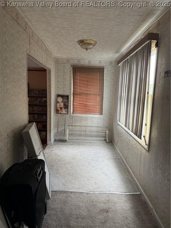 16298 Deepwater Mountain Rd, Wv, WV 25057 - hall with wallpapered walls, healthy amount of natural light, and carpet flooring