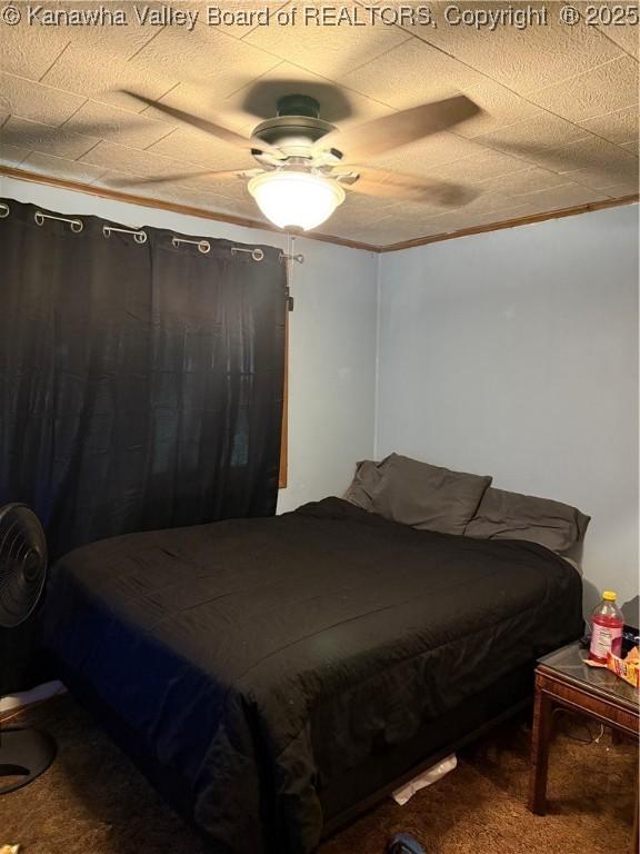 16298 Deepwater Mountain Rd, Wv, WV 25057 - bedroom with carpet and a ceiling fan