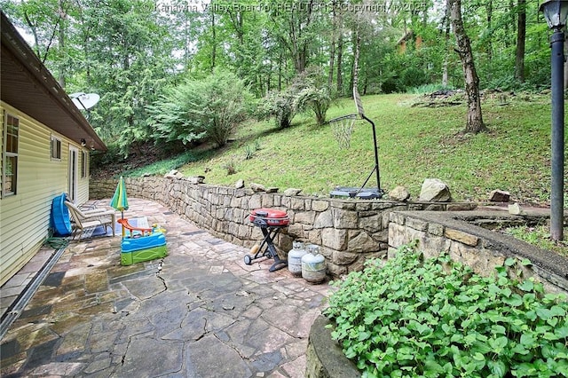 205 Autumn Dr, Dunbar, WV 25064 - view of patio