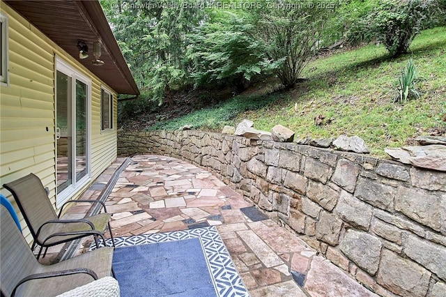 205 Autumn Dr, Dunbar, WV 25064 - view of patio