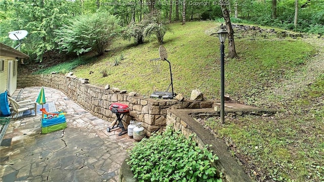205 Autumn Dr, Dunbar, WV 25064 - view of yard with a patio