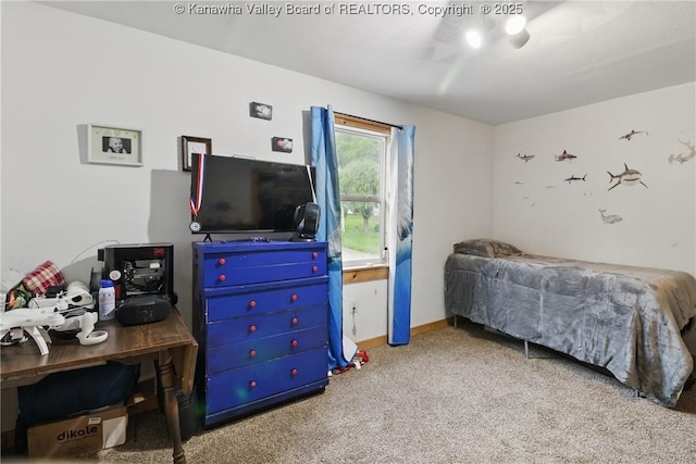 223 Easter Rd, Nitro, WV 25143 - bedroom with carpet and a ceiling fan