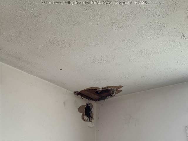 3211 Georges Dr, Saint Albans, WV 25177 - detailed view of a textured ceiling
