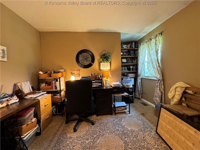 3902 Poca River Rd S, Poca, WV 25159 - view of carpeted office space