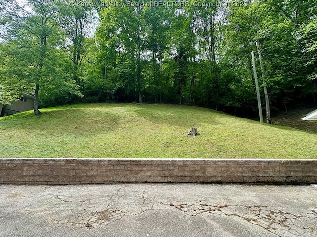 282 Hidden Valley Rd, Chapmanville, WV 25508 - photo 33