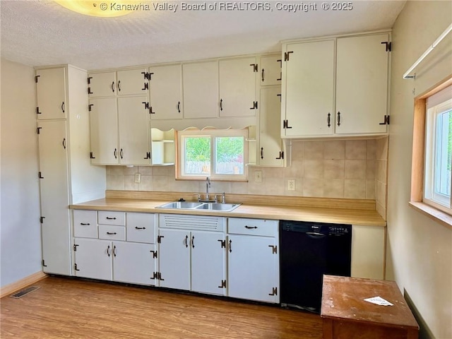 300 Sycamore St, Ravenswood, WV 26164 - kitchen featuring black dishwasher, a sink, light wood finished floors, tasteful backsplash, and plenty of natural light