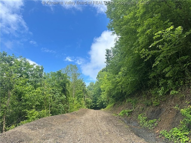 TBD Mountaineer Dr, Danville, WV 25053 - photo 4