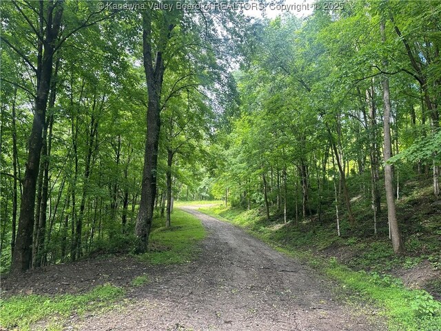 TBD Mountaineer Dr, Danville, WV 25053 - photo 7