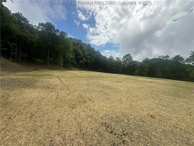 TBD Mountaineer Dr, Danville, WV 25053 - photo 13
