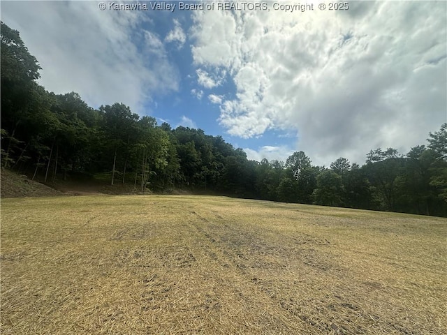 TBD Mountaineer Dr, Danville, WV 25053 - photo 2