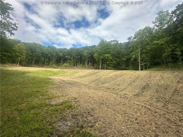 TBD Mountaineer Dr, Danville, WV 25053 - photo 15